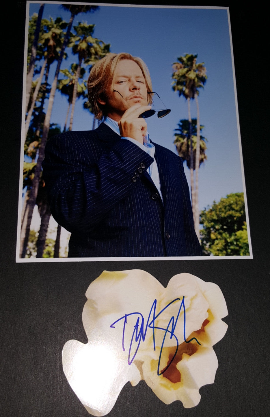 ACTOR COMEDIAN DAVID SPADE HAND SIGNED CUT OUT AND NICE 8X11" PRINT