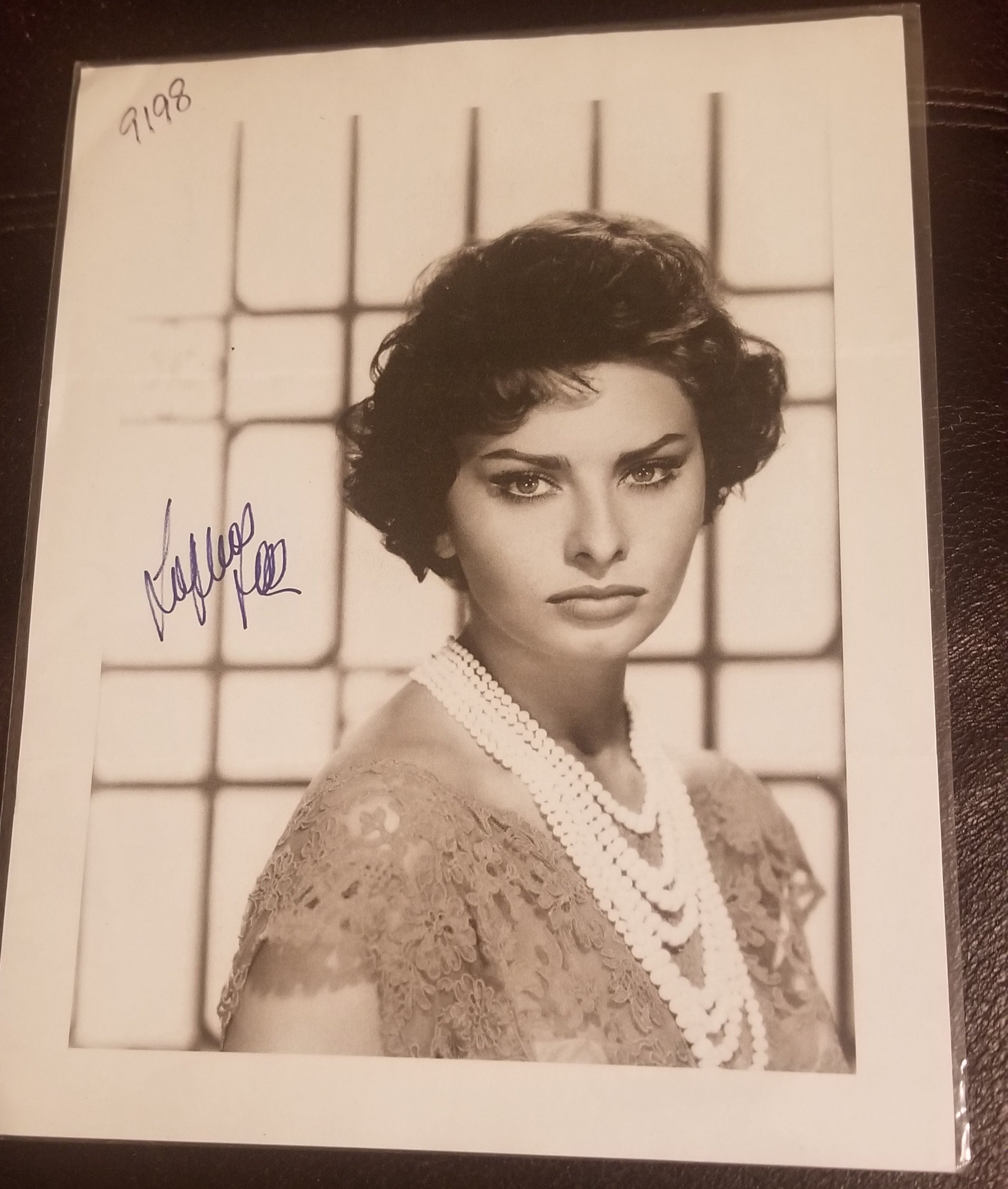 BEAUTIFUL SOPHIA LOREN HAND SIGNED 8X10 FOLDED PHOTO